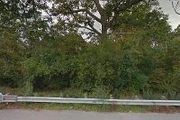 131st