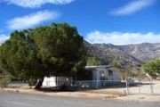 8164 Tamarisk
