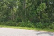 Tbd E. Springbranch Rd.