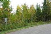 Tbd Pine Tree Ln.