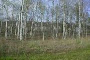 Tbd Spring Rd., Lot 30