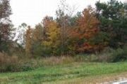 Tbd Wade Loop