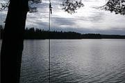 79 Thomas Pond Terrace