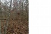 0 Timberwood Trace