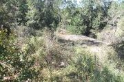 Tract 8 Us Hwy. 129