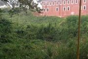 Tract 6 Willowbrook
