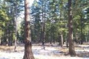 2 Tranquil Trail