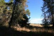4800 Williams Valley Rd., approx address.