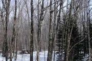 128xx Cramer Rd., Parcel F
